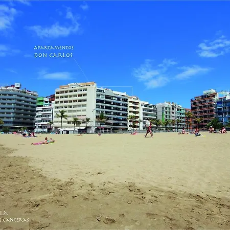 Don Carlos * ラスパルマス・デ・グランカナリア